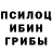 Псилоцибиновые грибы Magic Shrooms INGA Ilyasova