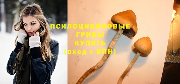 ALPHA-PVP Алексин